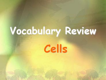 Vocabulary Review