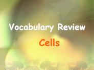 Vocabulary Review