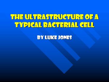 The Ultrastructure Of A Typical Bacterial Cell