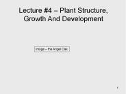 Lecture 4 – Plant Structure, Growth And Development