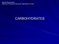 CARBOHYDRATES PowerPoint PPT Presentation