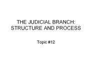 THE JUDICIAL BRANCH: STRUCTURE AND PROCESS