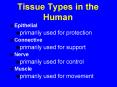 Tissue Types in the Human PowerPoint PPT Presentation