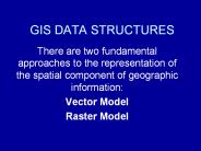 GIS DATA STRUCTURES