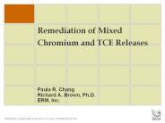 Remediation of Mixed Chromium and TCE Releases