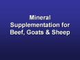 Mineral Supplementation for Beef, Goats & Sheep PowerPoint PPT Presentation