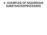 4 - EXAMPLES OF HAZARDOUS SUBSTANCES/PROCESSES