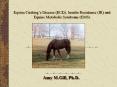 Equine Cushing’s Disease (ECD), Insulin Resistance (IR) and Equine Metabolic Syndrome (EMS) PowerPoint PPT Presentation