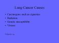 Lung Cancer Causes PowerPoint PPT Presentation