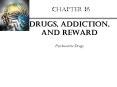 Drugs, Addiction, and Reward PowerPoint PPT Presentation