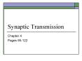 Synaptic Transmission PowerPoint PPT Presentation