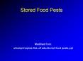 Stored Food Pests PowerPoint PPT Presentation