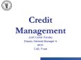 Credit Management PowerPoint PPT Presentation