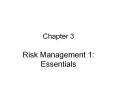 Risk Management 1: Essentials PowerPoint PPT Presentation