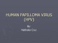 HUMAN PAPILLOMA VIRUS (HPV) PowerPoint PPT Presentation
