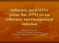 Influenza, novel H1N1 (swine flu), H5N1 (avian influenza) and Occupational Infection PowerPoint PPT Presentation