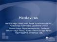 Hantavirus PowerPoint PPT Presentation