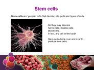 Stem cells