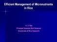 Efficient Management of Micronutrients in Rice PowerPoint PPT Presentation