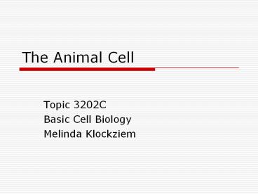 The Animal Cell