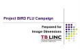 Project BIRD FLU Campaign PowerPoint PPT Presentation