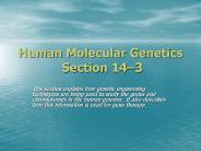 Human Molecular Genetics  Section 14