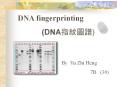 DNA fingerprinting PowerPoint PPT Presentation