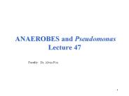ANAEROBES and Pseudomonas Lecture 47