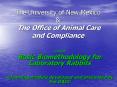 The University of New Mexico &  The Office of Animal Care and Compliance PowerPoint PPT Presentation