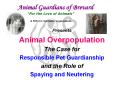 Animal Guardians of Brevard                                               PowerPoint PPT Presentation