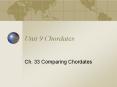 Unit 9 Chordates PowerPoint PPT Presentation