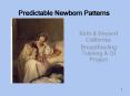 Predictable Newborn Patterns PowerPoint PPT Presentation