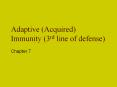 Adaptive (Acquired) Immunity (3rd line of defense) PowerPoint PPT Presentation