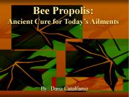 Bee Propolis: Ancient Cure for Today