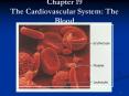 Chapter 19 The Cardiovascular System: The Blood PowerPoint PPT Presentation