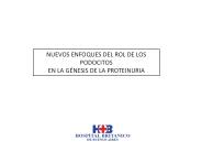 Monoclonal antibodies for podocytopathies