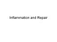 Inflammation and Repair PowerPoint PPT Presentation