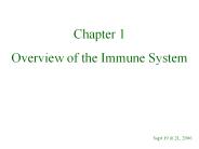 Overview of the Immune System