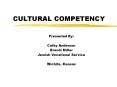 CULTURAL COMPETENCY PowerPoint PPT Presentation