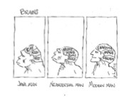 How diet affects the brain: evolution