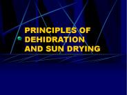 PRINCIPLES OF DEHIDRATION AND SUN DRYING