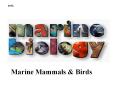 Marine Mammals & Birds PowerPoint PPT Presentation