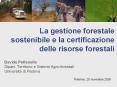 La gestione forestale sostenibile e la certificazione delle risorse forestali PowerPoint PPT Presentation