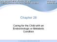 Caring for the Child with an Endocrinologic or Metabolic Condition PowerPoint PPT Presentation