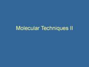 Molecular Techniques II