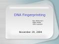 DNA Fingerprinting PowerPoint PPT Presentation