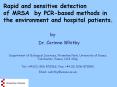 Rapid and sensitive detection of MRSA  by PCR-based methods in the environment and hospital patients. PowerPoint PPT Presentation