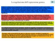 La regolazione dell