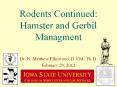 Rodents Continued: Hamster and Gerbil Managment PowerPoint PPT Presentation