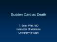Sudden Cardiac Death PowerPoint PPT Presentation
